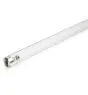 Philips T8 UV - C 75W - Ultraviolet | 120cm